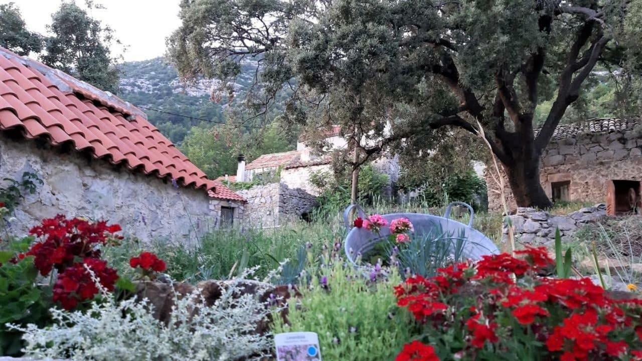 Countryside Vacation House Vitez Babino Polje Exterior photo